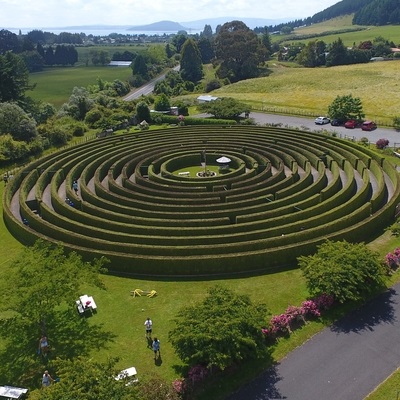 Ariel-photo-Rotorua-Hedge-maze