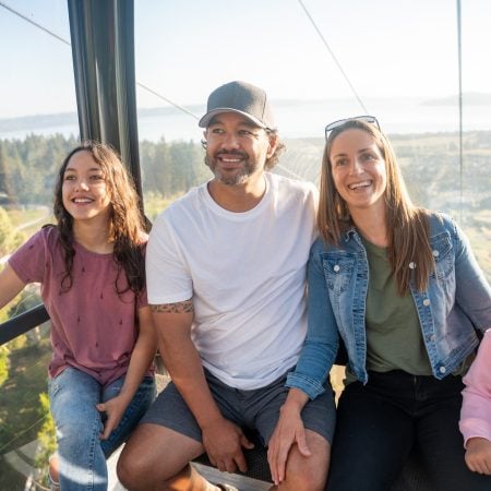Family Gondola image