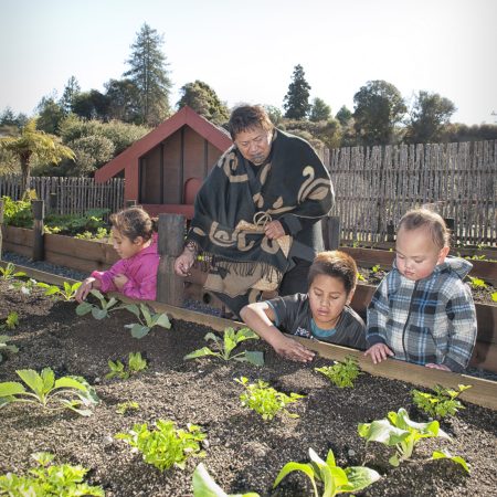Experience-living-Maori-village